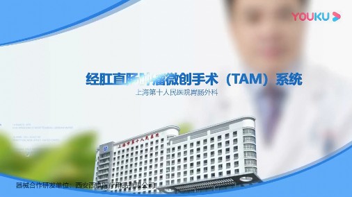 ����ֱ������΢��������TAM��ϵͳ